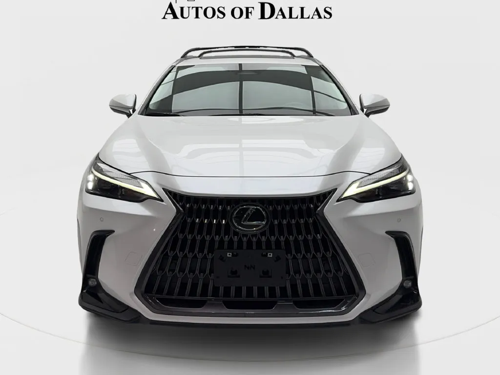 Lexus NX photo 4