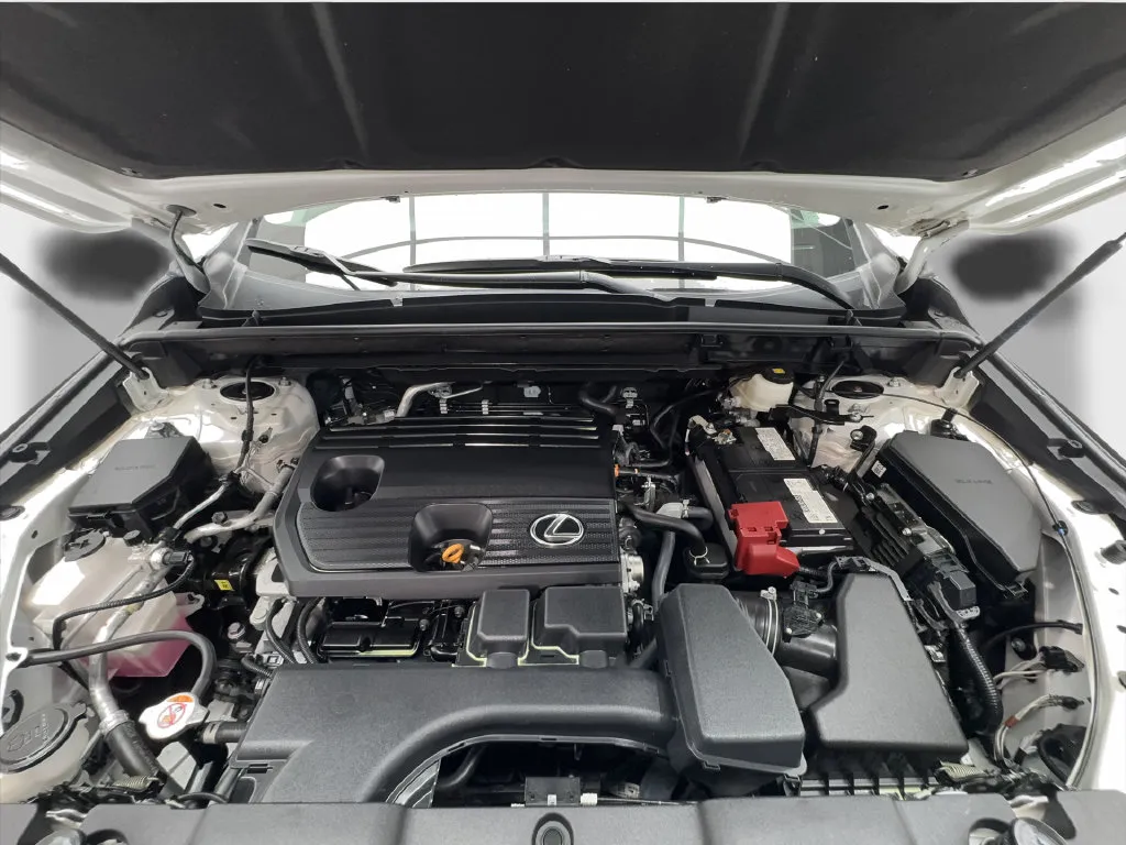 Lexus NX photo 20