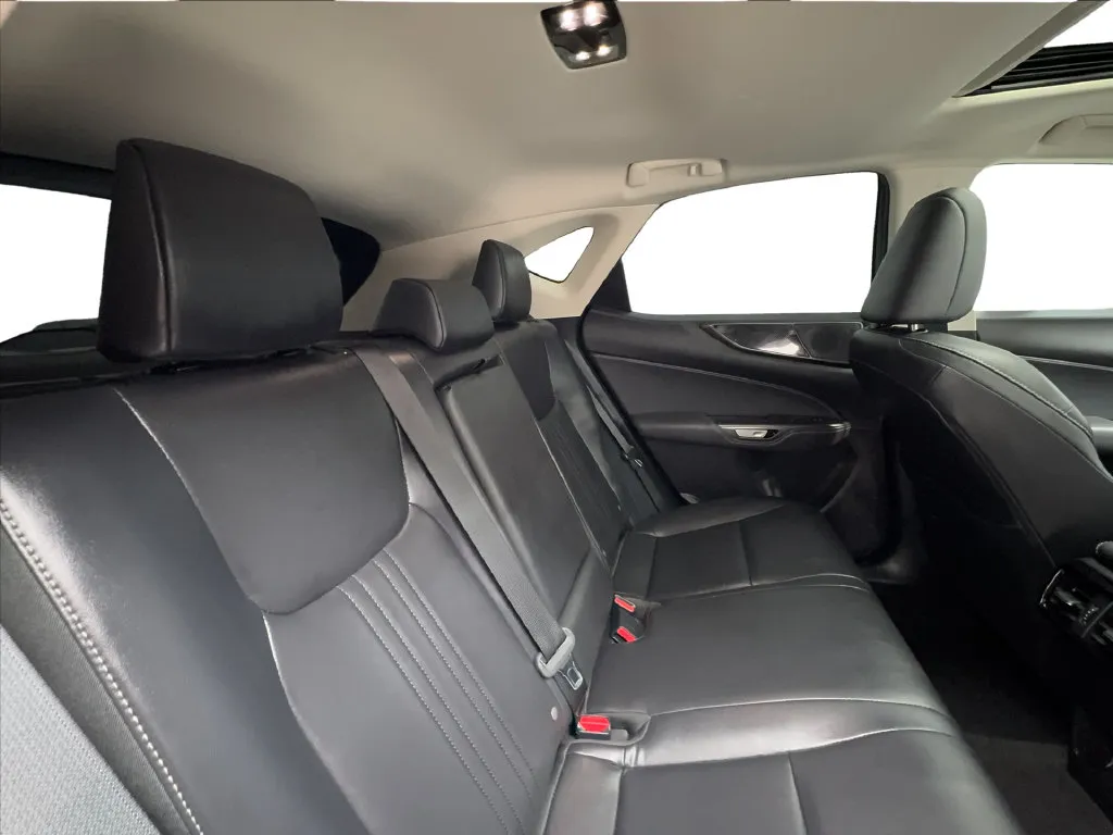 Lexus NX photo 32