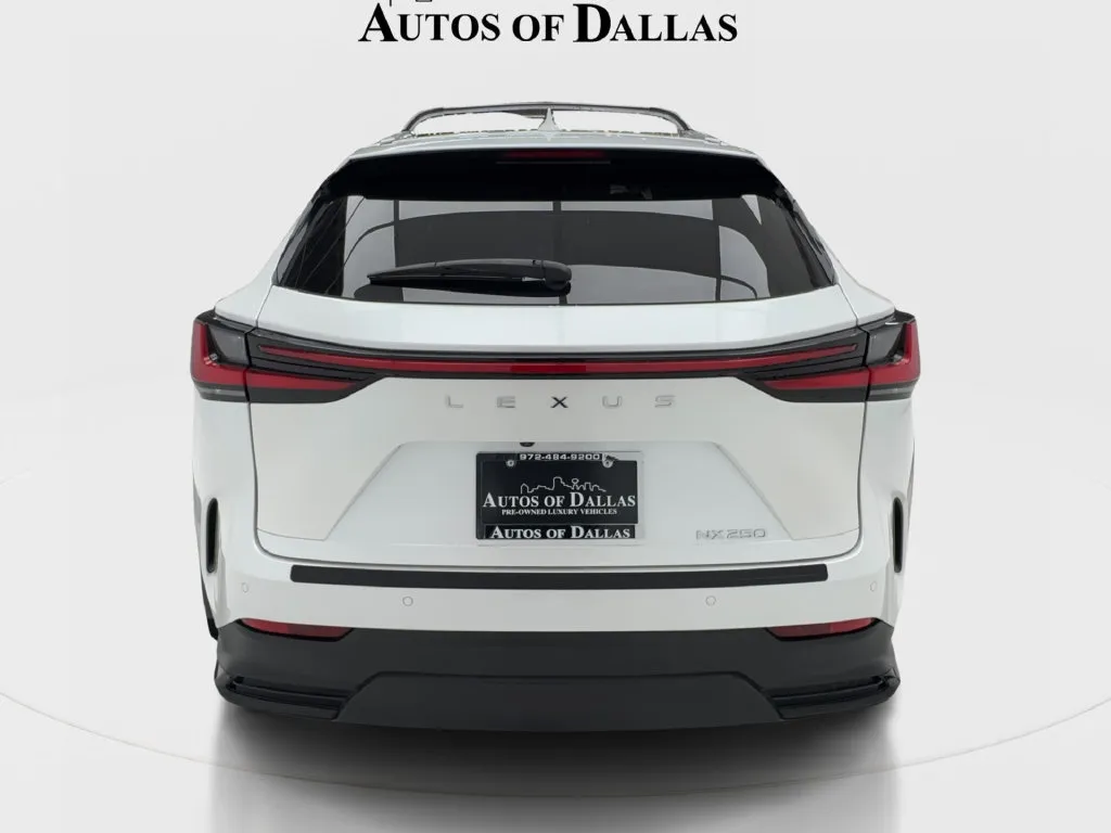 Lexus NX photo 10