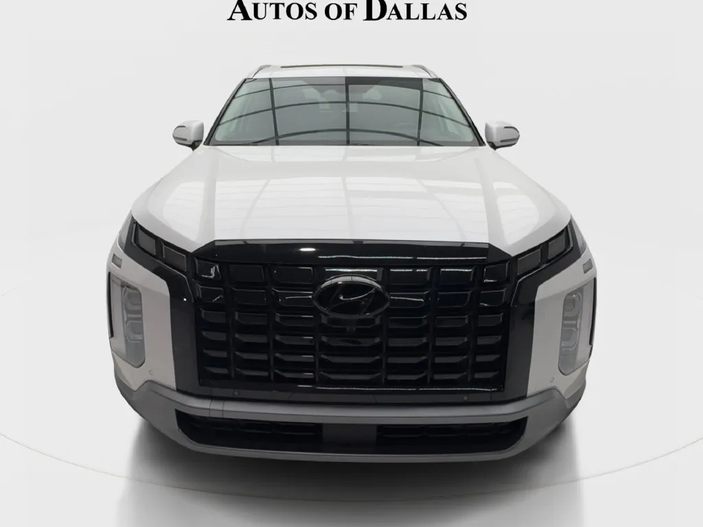 Hyundai Palisade photo 4