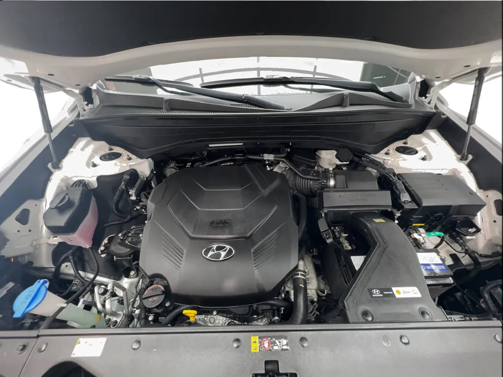 Hyundai Palisade photo 19