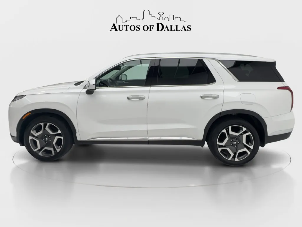 Hyundai Palisade photo 6