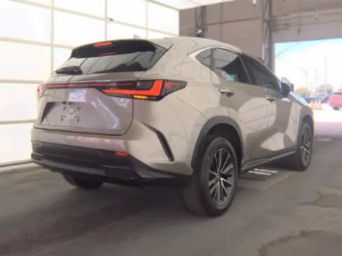 Photos of 2024 Lexus NX 250 Premium for sale in Plano, TX at Autos of Dallas - Plano