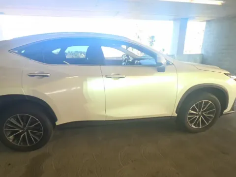 Photos of 2025 Lexus NX 250 Base for sale in Plano, TX at Autos of Dallas - Plano