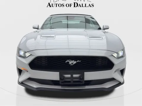 More photos of 2023 Ford Mustang EcoBoost Premium Convertible CAM,CLMT STS,18" WLS at Autos of Dallas - Plano, TX