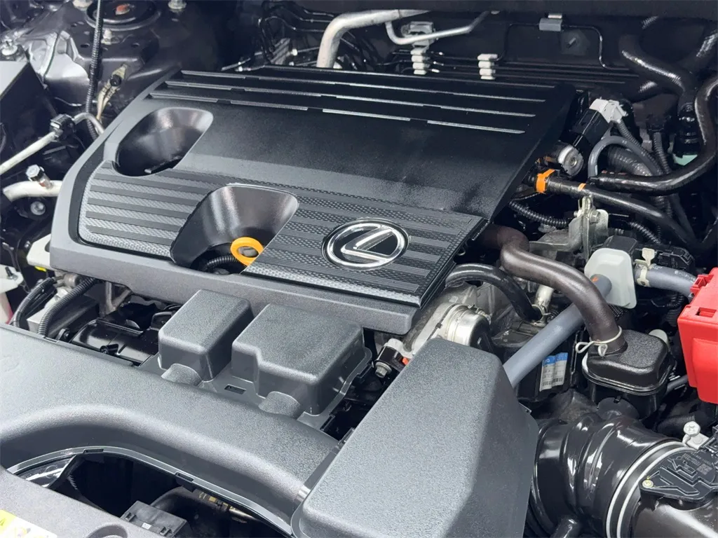 View 59