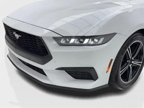 More photos of 2024 Ford Mustang EcoBoost Premium CAM,CLMT STS,BLIND SPOT at Autos of Dallas - Plano, TX