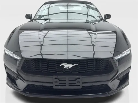 More photos of 2024 Ford Mustang EcoBoost Premium Convertible CAM,CLMT STS,BLIND SP at Autos of Dallas - Plano, TX