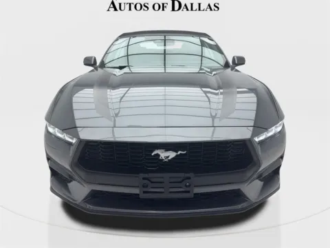 More photos of 2024 Ford Mustang EcoBoost Premium Convertible CAM,CLMT STS,BLIND SP at Autos of Dallas - Plano, TX