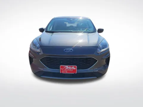 Photos of 2022 Ford Escape SE for sale in Perham, MN at Nyhus Family Sales