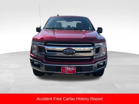 Photos of 2019 Ford F-150 XLT for sale in Perham, MN at Nyhus Family Sales