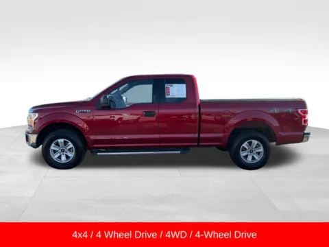 More photos of 2019 Ford F-150 XLT at Nyhus Family Sales, MN