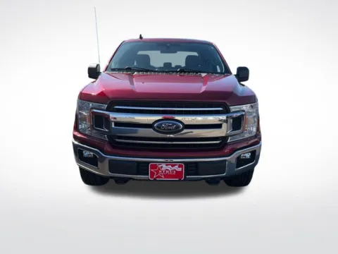 Photos of 2019 Ford F-150 XLT for sale in Perham, MN at Nyhus Family Sales