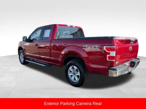 More photos of 2019 Ford F-150 XLT at Nyhus Family Sales, MN