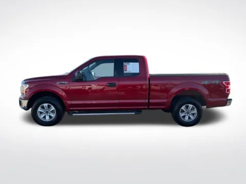 More photos of 2019 Ford F-150 XLT at Nyhus Family Sales, MN