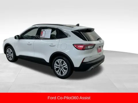 More photos of 2020 Ford Escape SEL at Nyhus Family Sales, MN