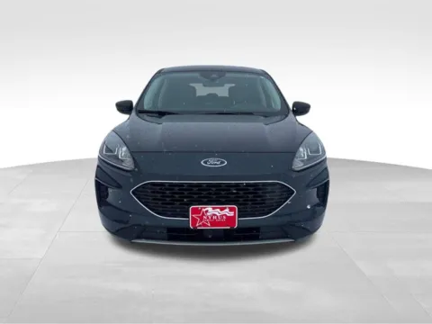 Photos of 2022 Ford Escape SE for sale in Perham, MN at Nyhus Family Sales