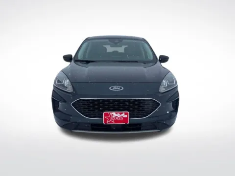 Photos of 2022 Ford Escape SE for sale in Perham, MN at Nyhus Family Sales