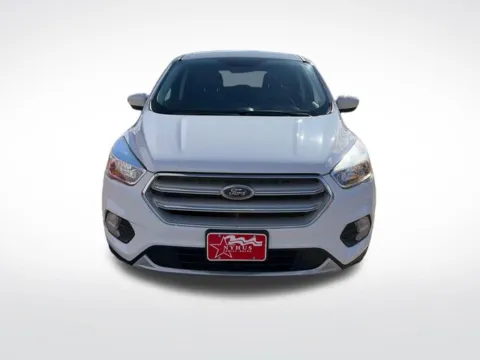 Another view of 2019 Ford Escape SE for sale in Perham, MN at Nyhus Family Sales