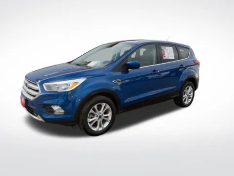 Blue 2019 Ford Escape SE for sale in Perham, MN