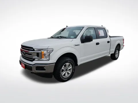 White 2019 Ford F-150 XLT for sale in Perham, MN