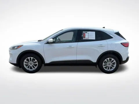 Another view of 2020 Ford Escape SE for sale in Perham, MN at Nyhus Family Sales