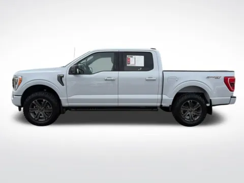 Another view of 2022 Ford F-150 XLT for sale in Perham, MN at Nyhus Family Sales