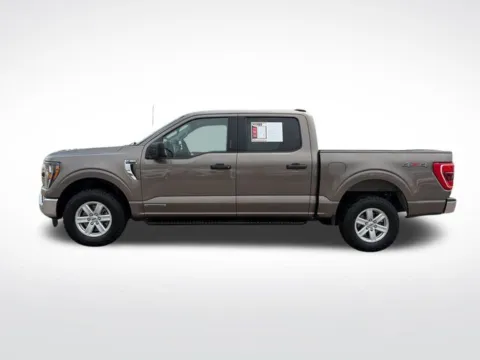 More photos of 2023 Ford F-150 XLT at Nyhus Family Sales, MN