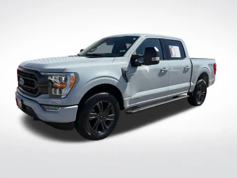 Gray 2023 Ford F-150 XLT for sale in Perham, MN