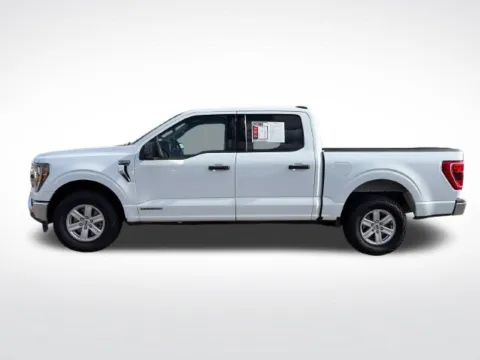 Another view of 2023 Ford F-150 XLT for sale in Perham, MN at Nyhus Family Sales