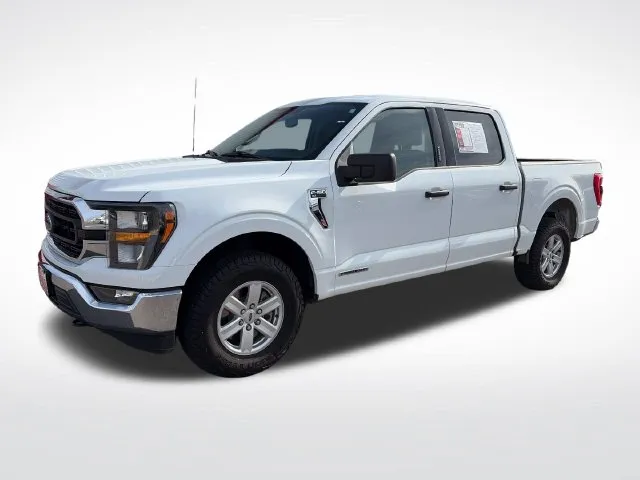 White 2023 Ford F-150 XLT for sale in Perham, MN