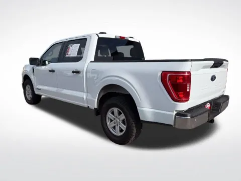 More photos of 2023 Ford F-150 XLT at Nyhus Family Sales, MN