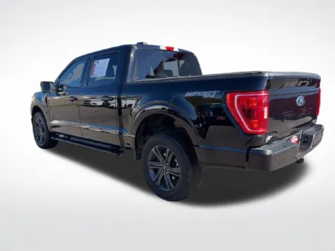 More photos of 2023 Ford F-150 XLT at Nyhus Family Sales, MN