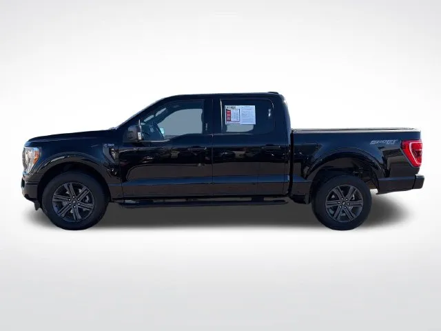 Ford F-150 photo 3