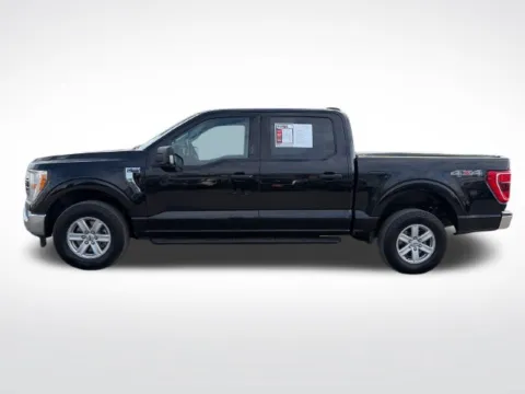 More photos of 2022 Ford F-150 XLT at Nyhus Family Sales, MN