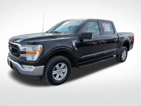 Black 2022 Ford F-150 XLT for sale in Perham, MN