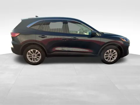 More photos of 2022 Ford Escape SE at Nyhus Family Sales, MN