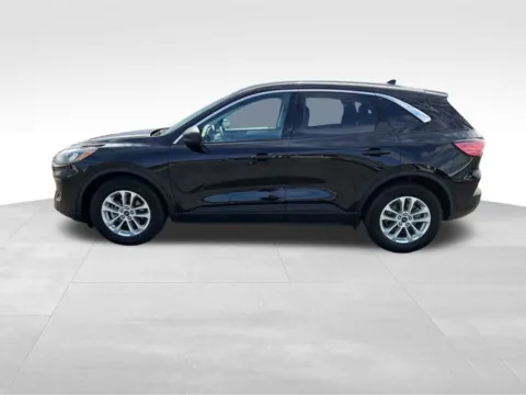 Photos of 2022 Ford Escape SE for sale in Perham, MN at Nyhus Family Sales