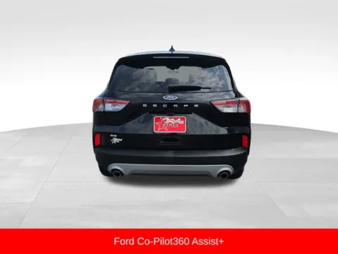 More photos of 2022 Ford Escape SE at Nyhus Family Sales, MN