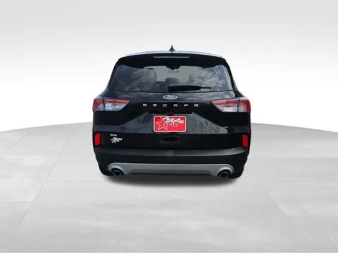 More photos of 2022 Ford Escape SE at Nyhus Family Sales, MN