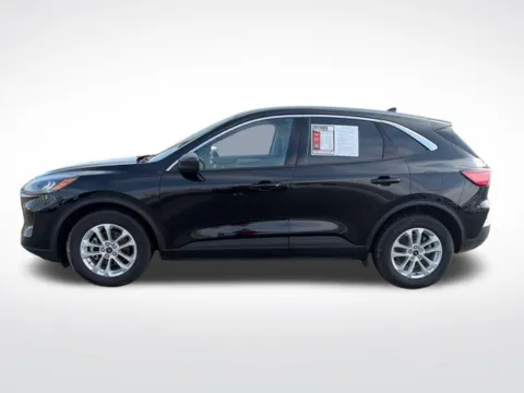 Another view of 2022 Ford Escape SE for sale in Perham, MN at Nyhus Family Sales