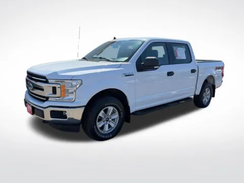 White 2019 Ford F-150 XLT for sale in Perham, MN