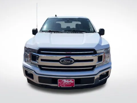 Photos of 2019 Ford F-150 XLT for sale in Perham, MN at Nyhus Family Sales