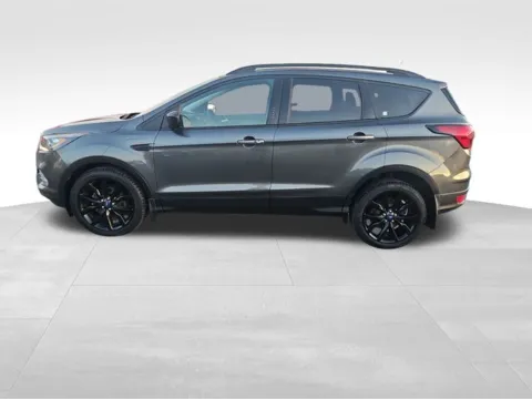 Photos of 2019 Ford Escape SE for sale in Perham, MN at Nyhus Family Sales
