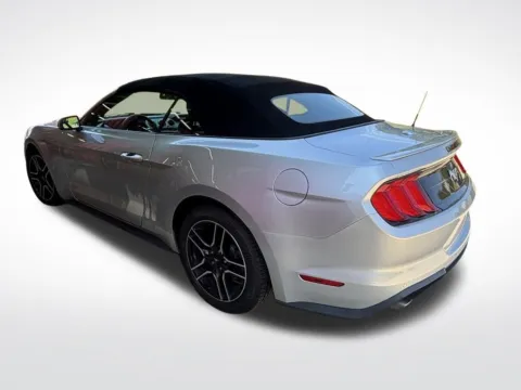 More photos of 2019 Ford Mustang EcoBoost Premium at Pinnacle Motor Company LKN, NC