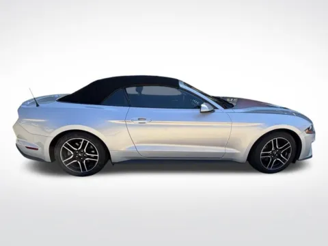 Photos of 2019 Ford Mustang EcoBoost Premium for sale in Mooresville, NC at Pinnacle Motor Company LKN