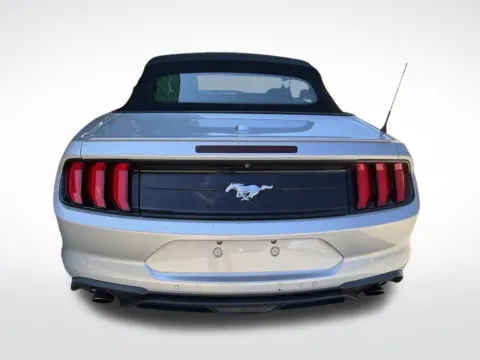 More photos of 2019 Ford Mustang EcoBoost Premium at Pinnacle Motor Company LKN, NC
