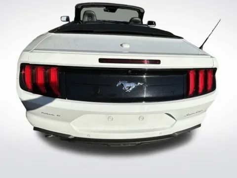 More photos of 2023 Ford Mustang EcoBoost Premium at Pinnacle Motor Company LKN, NC