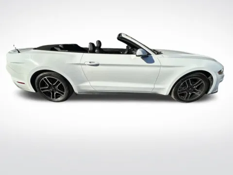 Photos of 2023 Ford Mustang EcoBoost Premium for sale in Mooresville, NC at Pinnacle Motor Company LKN
